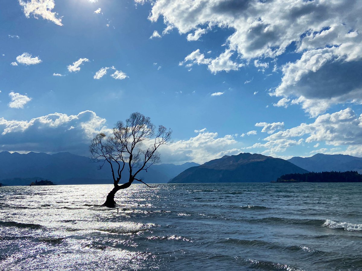 Can you even say you’ve been to Wanaka if you don’t have a photo of the famous tree? 😅

#ThatWanakaTree