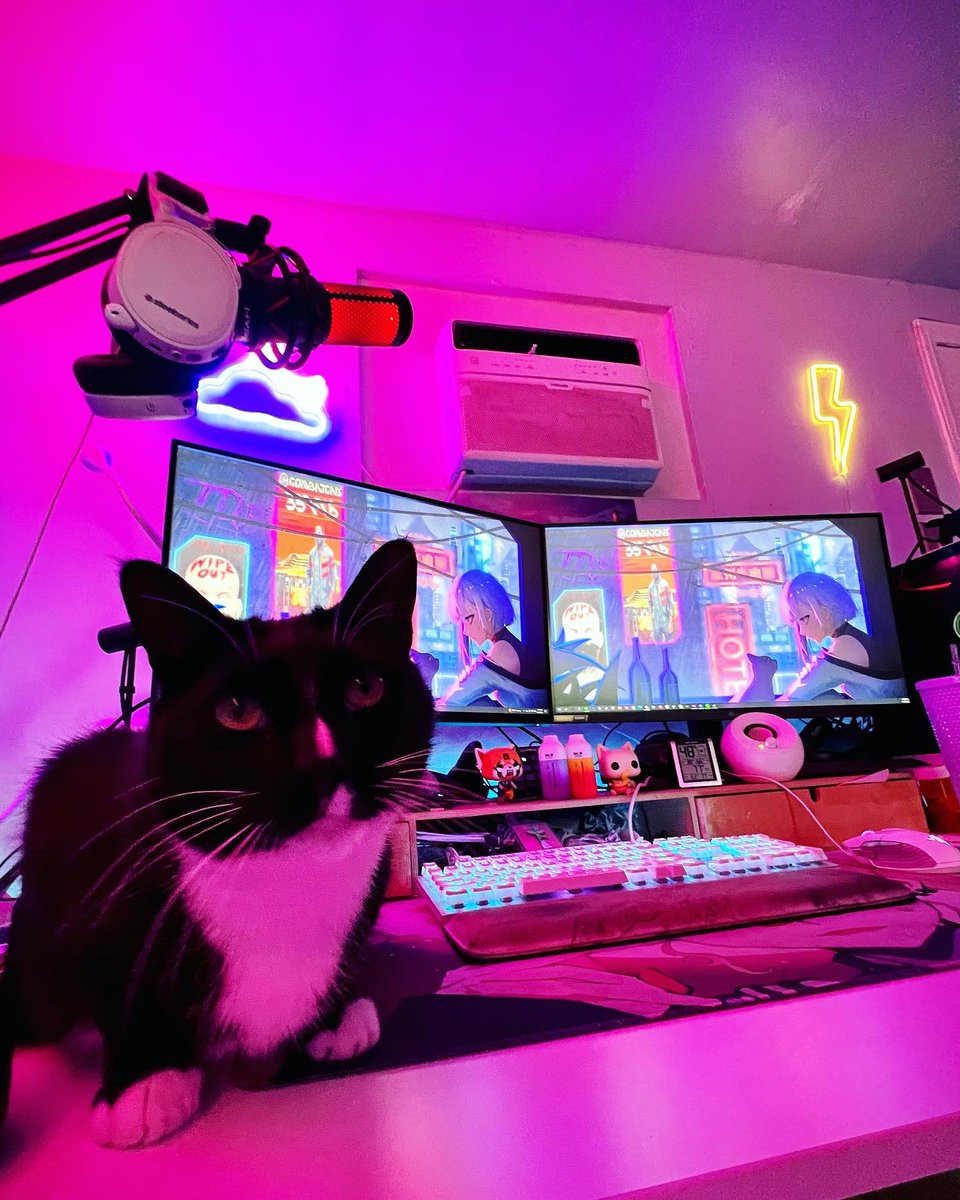 𝚝𝚒𝚏𝚏𝚊 🍥🐱 tweet media