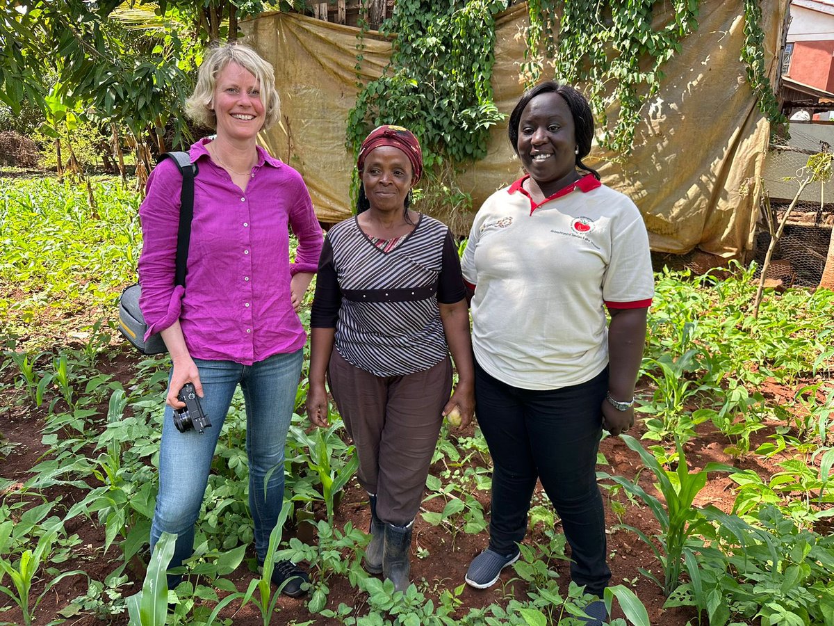 Thank you, Grace Nkukuu for showing us your farm and the intercropping of #maize and #beans, growing the new mottled bean variety Nyota🫘 @_PABRA #OneCGIAR @BiovIntCIAT_eng #SeedEqual @kalromkulima