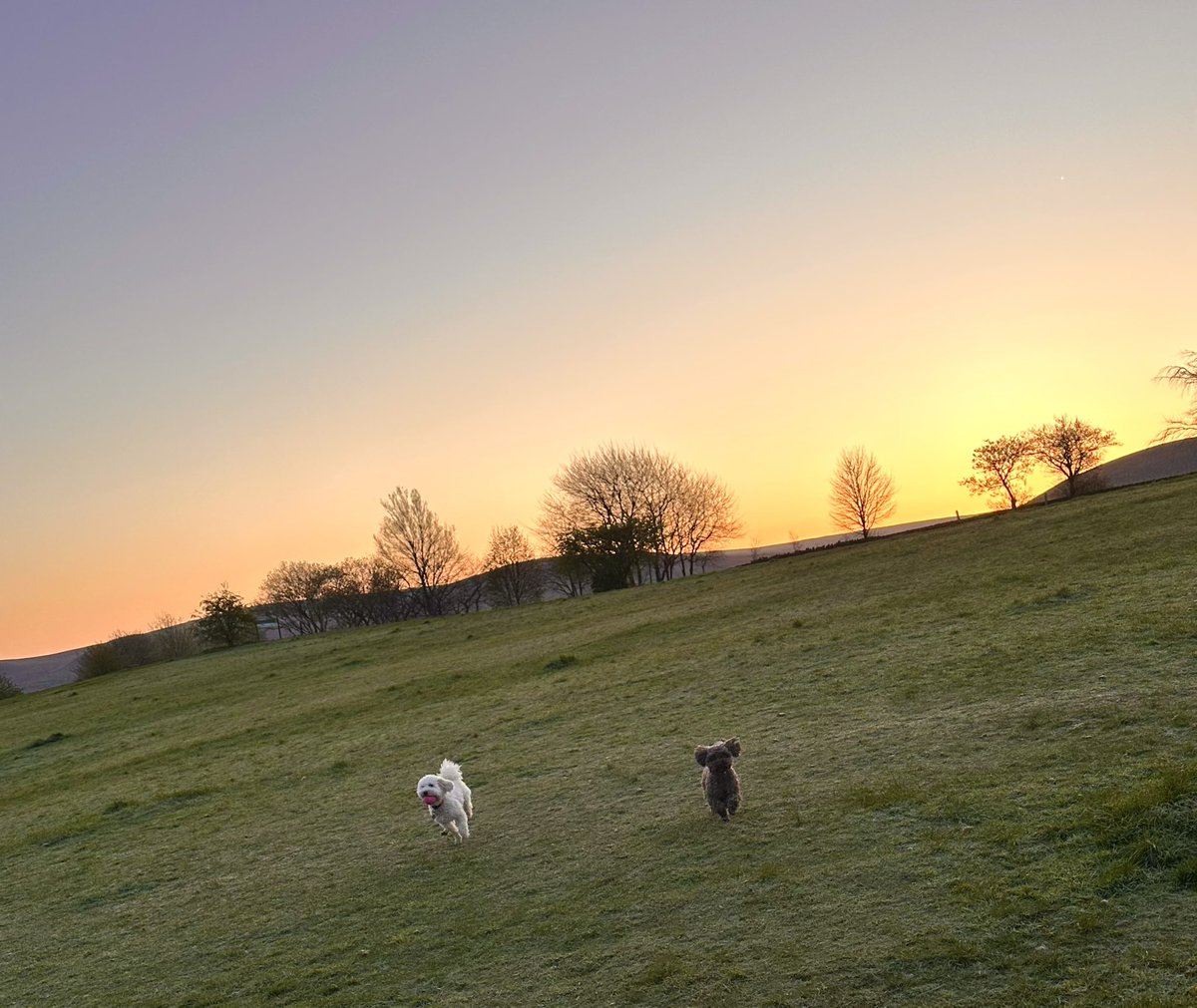 nettyastley's tweet photo. Beautiful morning, and a great flyby by Duncan just for @thegaffer1969 ๐๐พ #GorseHall https://t.co/HOrWuF922W