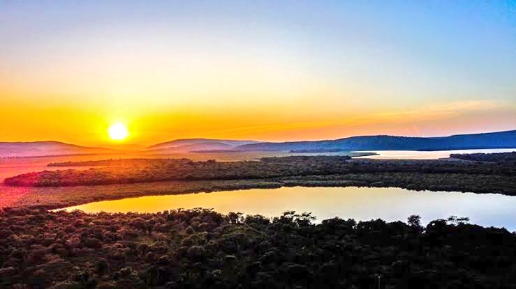 SherryKarungi's tweet photo. The beauty in Lake Mburo National Park.
#VisitUganda 
#ExploreUganda https://t.co/eRQy40RHnl