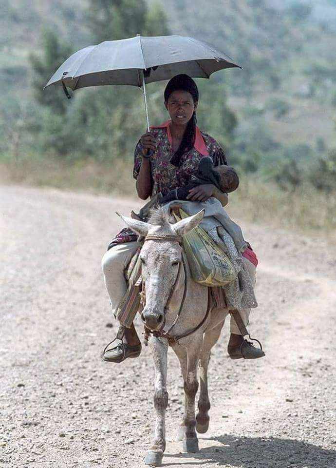 breket_ham's tweet photo. 🇪🇹እናት ሀገር ኢትዮጵያ 🇪🇹 https://t.co/Qsyeu2mx4W