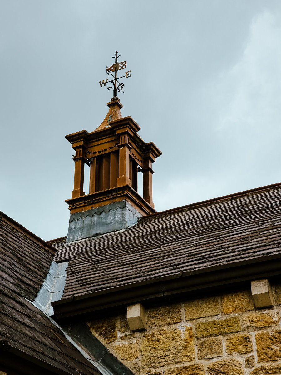 Connor Millichap tweet media