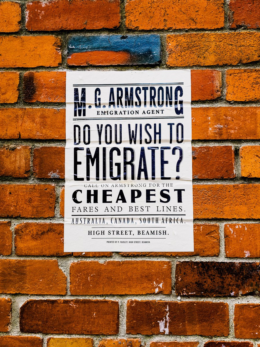 Connor Millichap tweet media