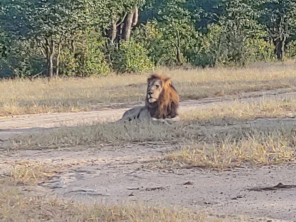 komatsubarasan1's tweet photo. #LiwondeNationalPark, #Malawi. Breath-taking #sunset over #ShireRiver, beautiful & peaceful animal paradise. So tranquil, so untouched, yet well managed & protected. Pls come & enjoy #WarmHeartofAfrica ๐ฒ๐ผ. @TourismMalawi @AmakeTT @MalawiGovt @MvuuLodge #Safari @undpmalawi @UNWTO https://t.co/U2zD3sgjwr
