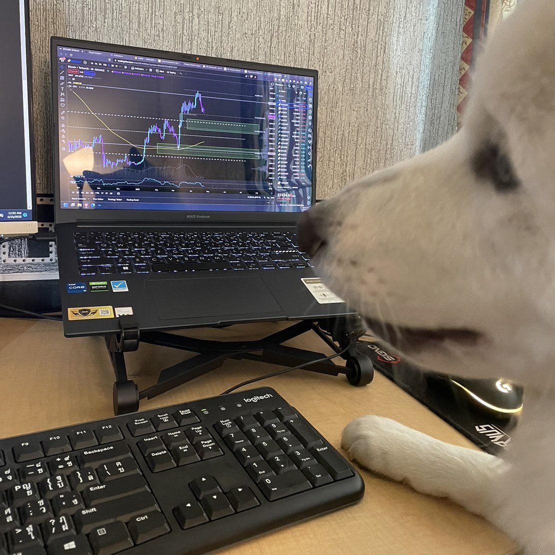 <a href="/BoDoggosNFT/">BoDoggos</a> Can your doggo set buy levels for $BTC? 📈 

Cloud can. Free lessons for you ser <a href="/EasyEatsBodega/">Easy</a>.