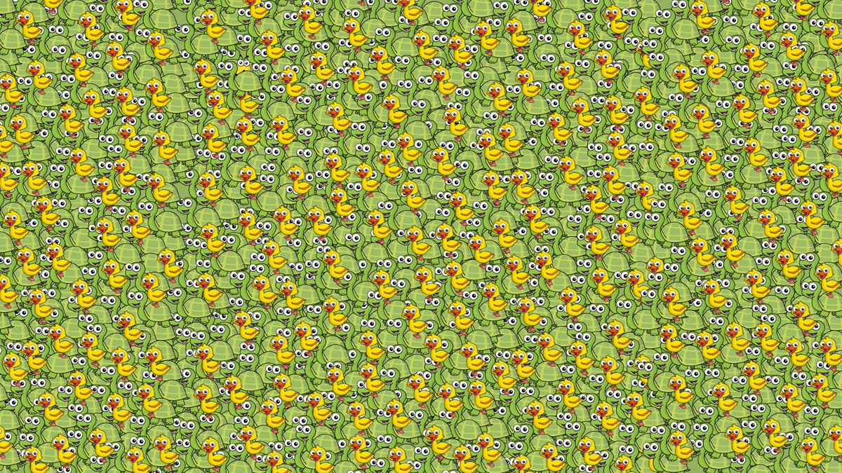 WhiteRoseEd's tweet photo. Today Bee is hiding somewhere in the Tinys and Diddys! 🐢🦆
Share a photo of your class and show us where Bee is to win exclusive badges, stickers, and a free Fluency Bee subscription!
Download PDFs here to use in class: https://t.co/aBOyN2FPyn
#FindBee #FluencyBee 🐝 https://t.co/SuFcigIkpc