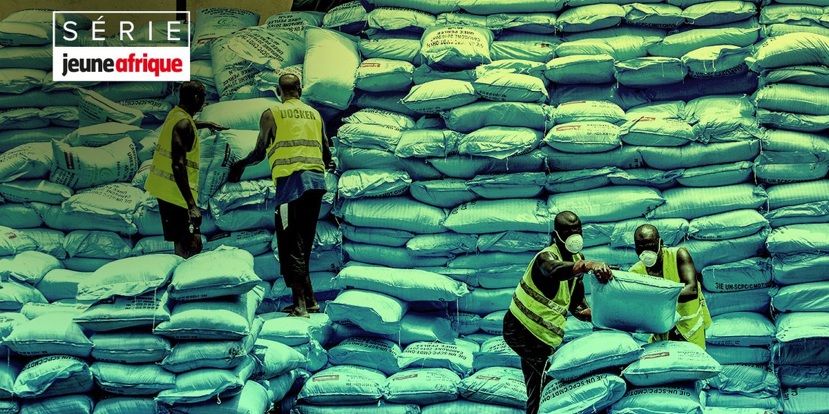 JA_Eco's tweet photo. Habitué à la compétition avec #Yara et #OCP, le numéro un historique des #engrais en #CIV225, #Solevo, est bousculé par un nouvel arrivant, le très offensif négociant #ETG.
Premier épisode de notre série « Les barons ouest-africains des engrais » 👇
https://t.co/l1Fnjr4sgN https://t.co/Zm1ujDA0jw