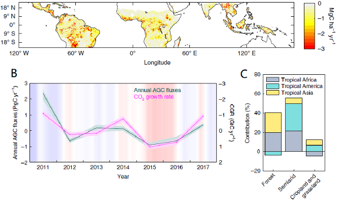 fengm's tweet photo. A new dataset of tropical aboveground carbon (2010-2017) is available for downloading on TPDC: https://t.co/RKiURPzkYF https://t.co/kXCcDxsx08
