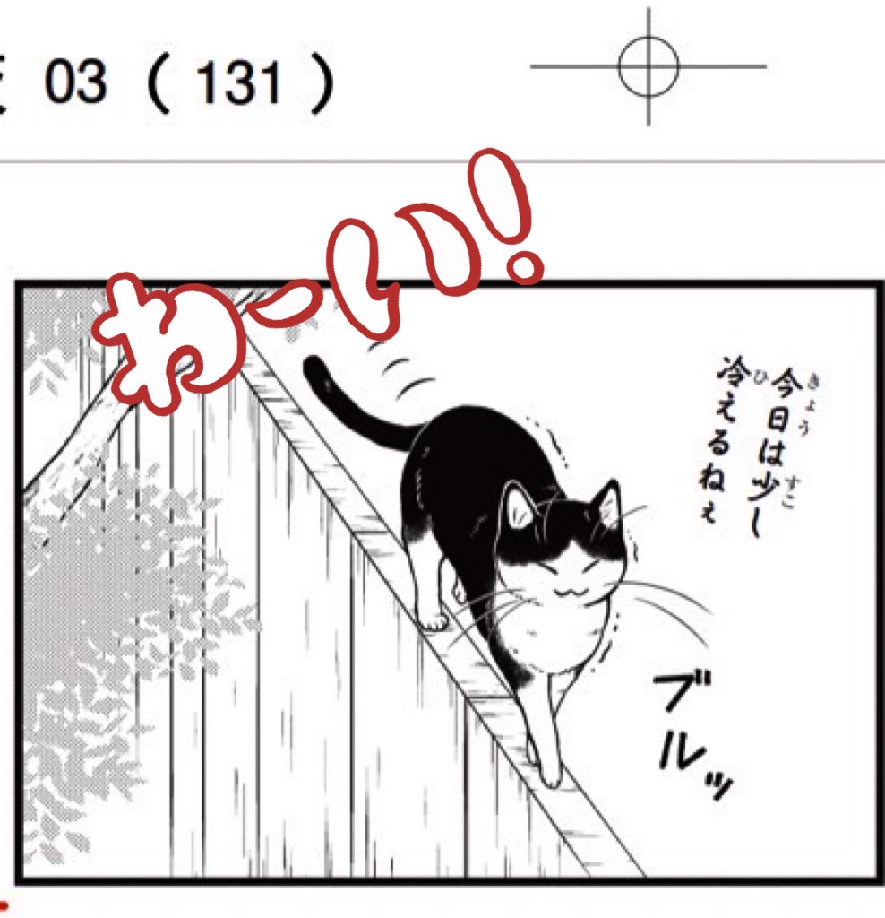 27日の更新では、描き下ろし漫画のチラッと見せもありますよ〜🐈🐾  🐱今日は少し冷えるねぇ  #殿と犬 