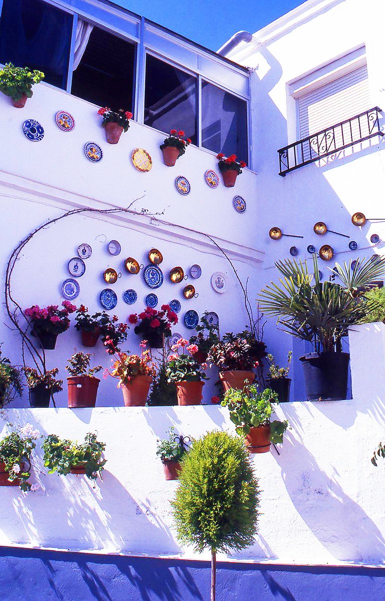 Every May, Cordoba opens up its private courtyards to the public. Creating compositions with the colours and textures of the many flowers that fill the patios is a true work of art. 
#cordoba #patiosdecordoba #unesco #intangibleculturalheritage #courtyardsofcordoba
#Flowers