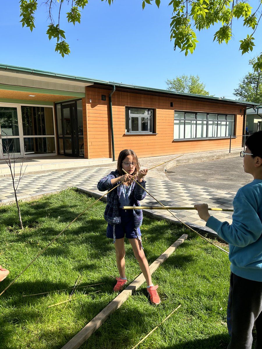 BrianJKasper's tweet photo. G4s learning to build #shelters in preparation for their overnight experience. #tashschool #outdoorlearning #camping @brian7591 @DohaDerek @billkralovec https://t.co/0e3uILVJ1n