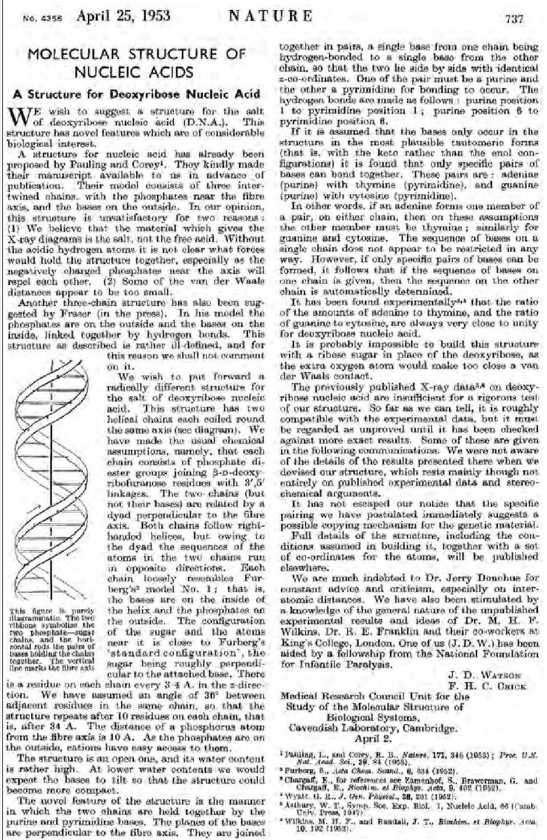 Today, 70 years ago: “It has not escaped our notice thst the specific pairing we have postulated immediately suggests a possible copying mechanism for the genetic material” James D. Watson &amp; Francis H.C. Crick in <a href="/Nature/">nature</a> 25 April 1953.