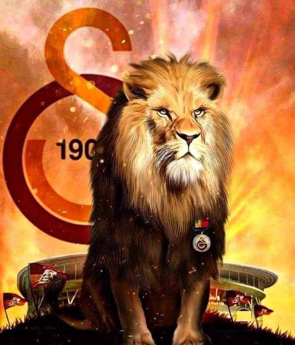 Fenerbahçe taraftarları 20 dakika içerisinde önce " Yönetim istifa", sonra " Şampiyon Fenerbahçe", ardından yine " Yönetim İstifa" tezahüratları yaptı. 🤣

Bir de 3.golü yemeden önce telefon ışıkları şovu harikaydı 🤣
#Galatasaray
#SampiyonGalatasaray
#sampiyoncimbomyazdiracagiz