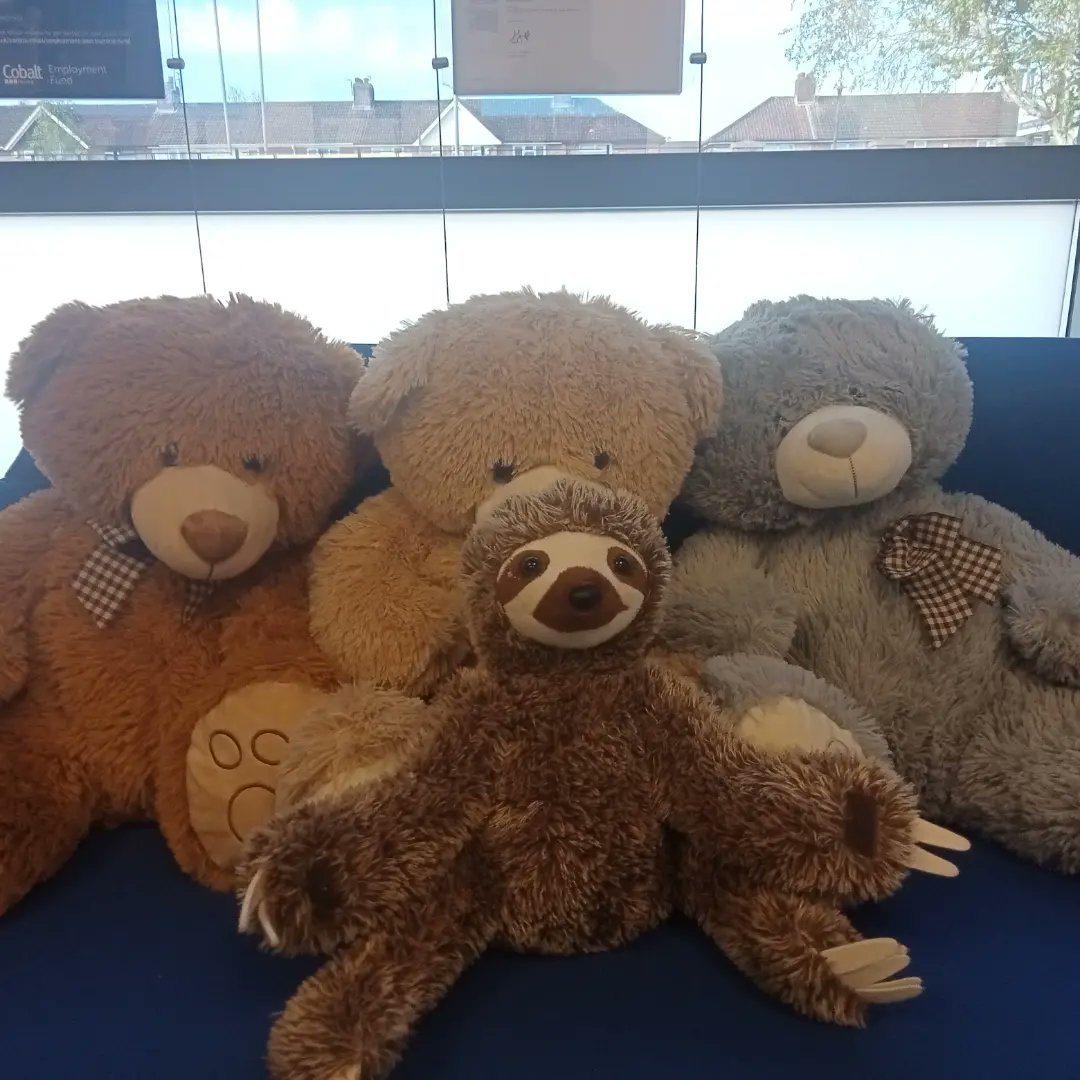 GoodHelpHub's tweet image. Four little visitors today... Don't know how these little lost animals find their way to the Good Help Hub but they do ! Luckily Andy the Sloth and Rachel the bear have been adopted by Jackson and Lilly 😄