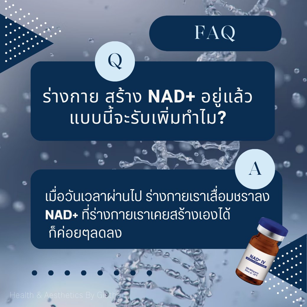 GIBTHAI1's tweet photo. โดยทั่วไประดับ NAD+ จะลดลงตามอายุที่เพิ่มมากขึ้น  ในวัยกลางคนจะลดลงเหลือน้อยกว่า 50 % และลดลงเหลือเพียง 1 – 10 % เมื่อมีอายุ 80 ปี การลดลงของระดับ NAD+ ก่อให้เกิดการเสื่อมถอยของระบบประสาทและความจำ https://t.co/Gre7znOrkJ