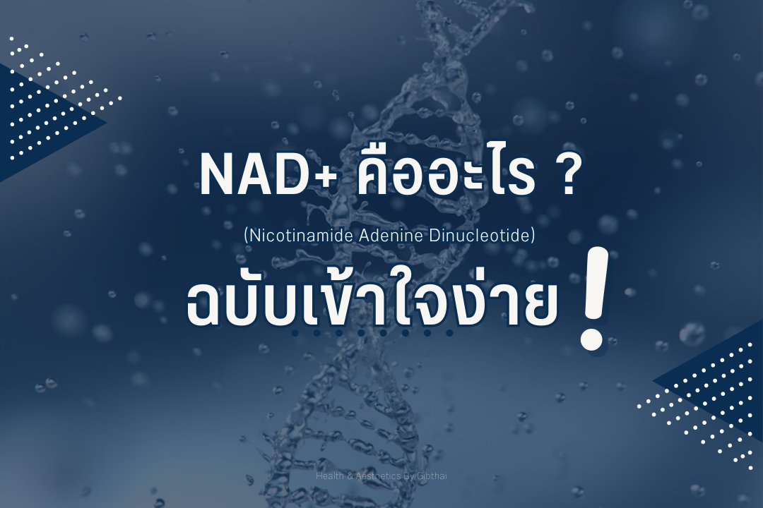 GIBTHAI1's tweet photo. 📷NAD+ (Nicotinamide adenine dinucleotide)
คือ โคเอนไซม์ที่เกิดขึ้นเองตามธรรมชาติ อนุพันธ์ของวิตามิน B3 พบได้ในเซลล์ >ต่อ
#NAD #NADTherapy https://t.co/2oluLITc89