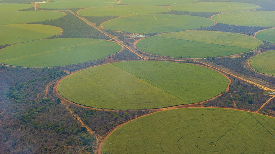 Benjamin Umba tweet media