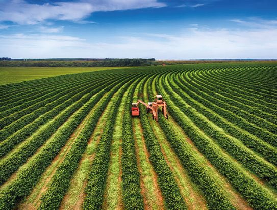 Benjamin Umba tweet media