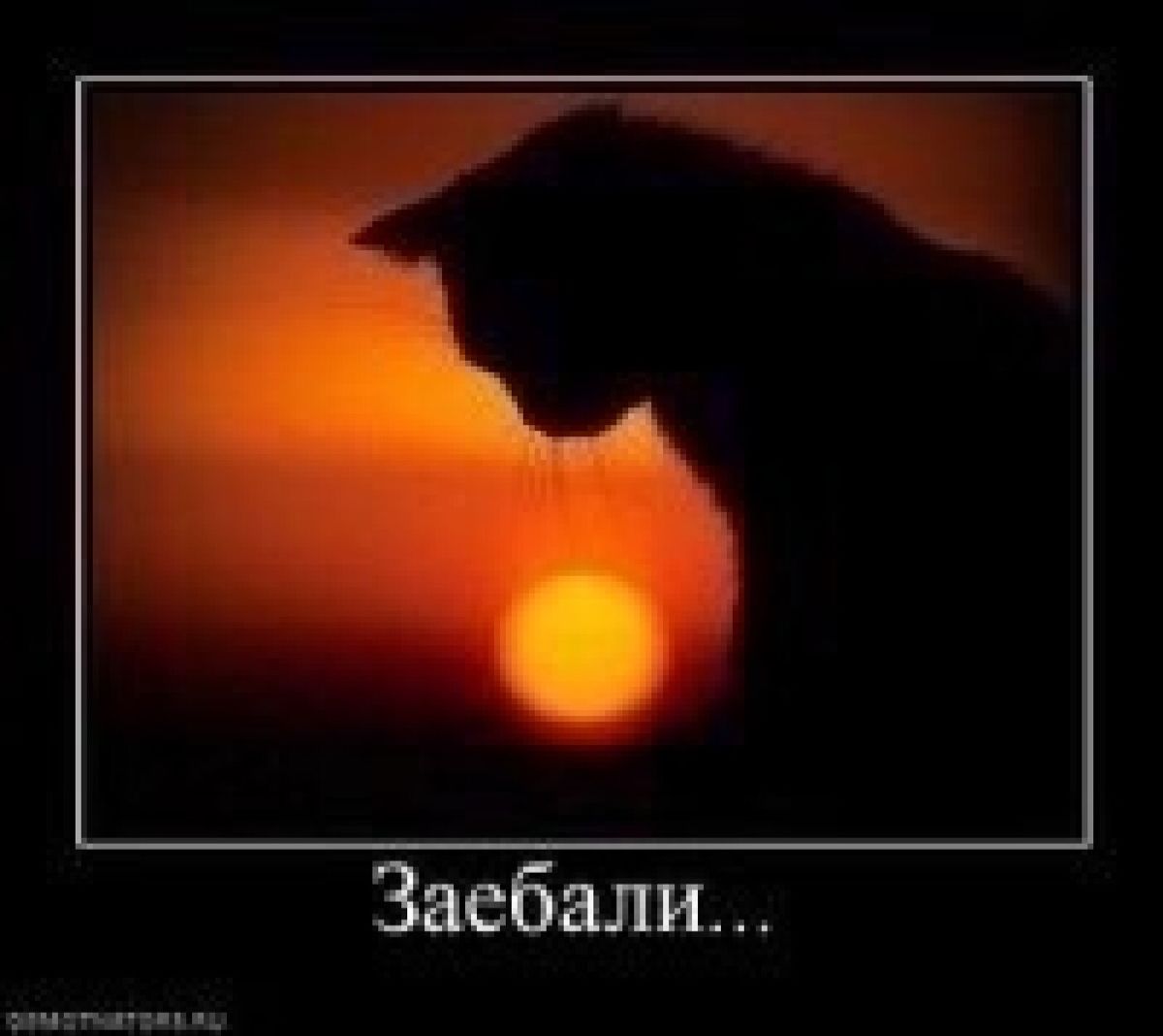 ник троут tweet media