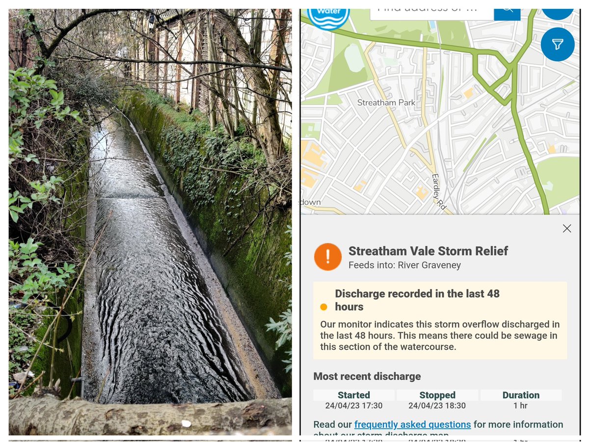 Ellie Pyemont tweet media