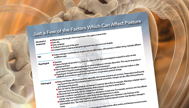 bluebellphysio's tweet photo. We've put together a chart which you can download at the following link https://t.co/2ghC9thZlz https://t.co/PdbZLK0al6