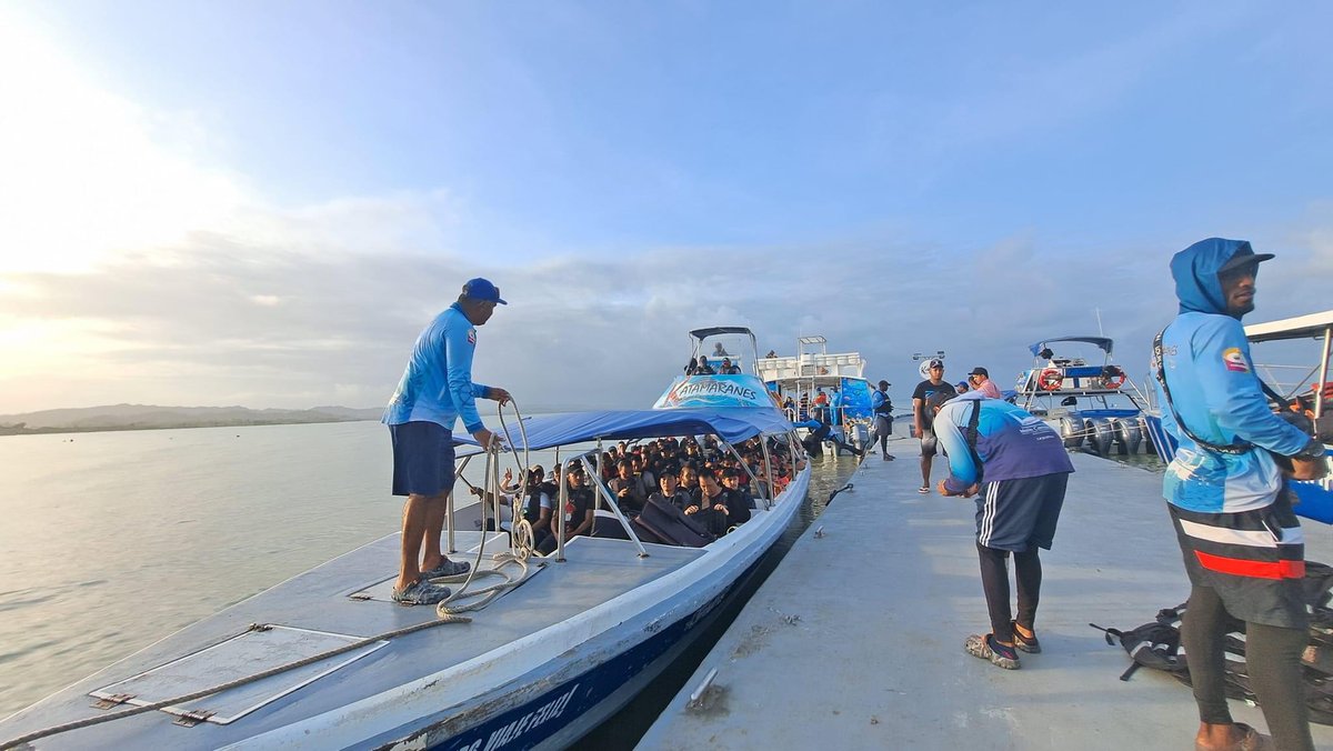 JuanTravesias's tweet photo. Desde ya gracias a la empresa #KatamaranesDelDarien y Fredy Marín, mi amigo en #Necocli por facilitar mi próxima visita a #Acandi. Atravesaré el #GolfoDeUraba para avistar la 🐢 #TortugaCana La #Travesia1MillonDeSeguidores es emocionante. @MinAmbienteCo. https://t.co/I0fJmlrE3T