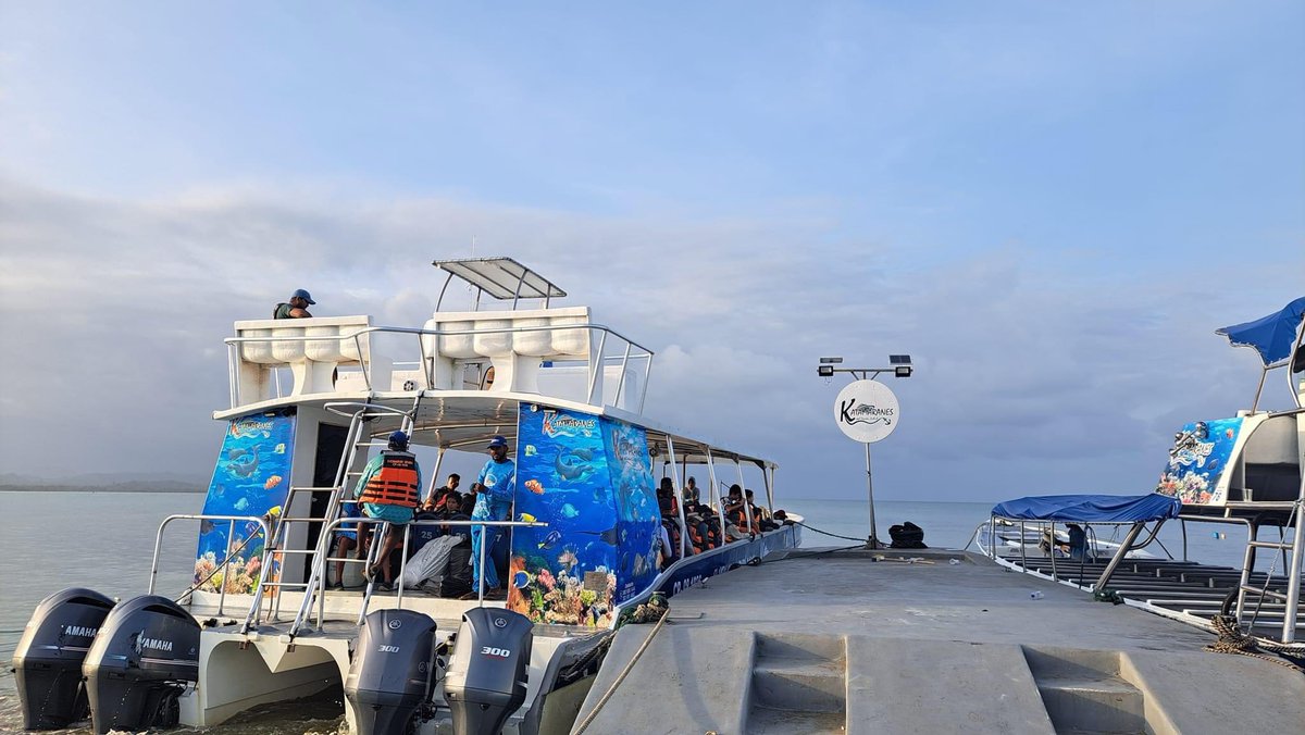 JuanTravesias's tweet photo. Desde ya gracias a la empresa #KatamaranesDelDarien y Fredy Marín, mi amigo en #Necocli por facilitar mi próxima visita a #Acandi. Atravesaré el #GolfoDeUraba para avistar la 🐢 #TortugaCana La #Travesia1MillonDeSeguidores es emocionante. @MinAmbienteCo. https://t.co/I0fJmlrE3T
