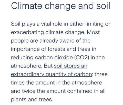 Moses Kimende (@mkimende) on Twitter photo 