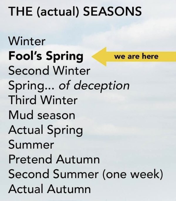 Cowhillock Smallholder (@cowhillock) on Twitter photo 