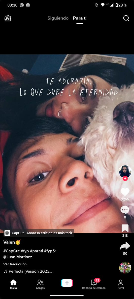 entro a tik tok y son todos videos así basta por favor no aguanto más😭