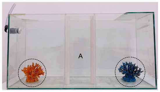 JMSE_MDPI's tweet photo. #NewArticle

Three-Dimensional-Printed Coral-like Structures as a Habitat for Reef Fish https://t.co/NSB42SVd0I #mdpijmse via @JMSE_MDPI @MDPIBiologySubj

@bengurionu
@TechnionOf

#3Dprinting #colorvision #coralreef #artificialreef #reeffishesbehavior https://t.co/5ua2PRngf8