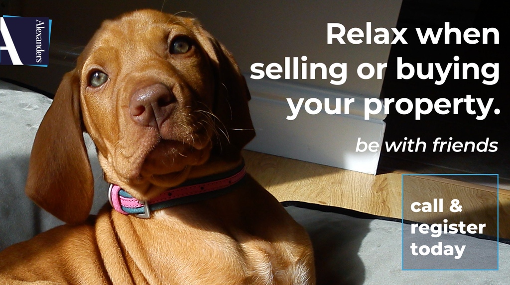 AlexandersLtd's tweet photo. Have you chosen to sell your home recently?
📲Call &amp; register today!🤙🏻

Ashby:01530 413126
Loughborough:01509 861222
Market Bosworth:01455 291471
Melton Mowbray:01664 896332
Shepshed:01509 642196
#loughborough #ashby #shepshed #meltonmowbray #marketbosworth #eastmidlands https://t.co/6KcOgmQ1Lq