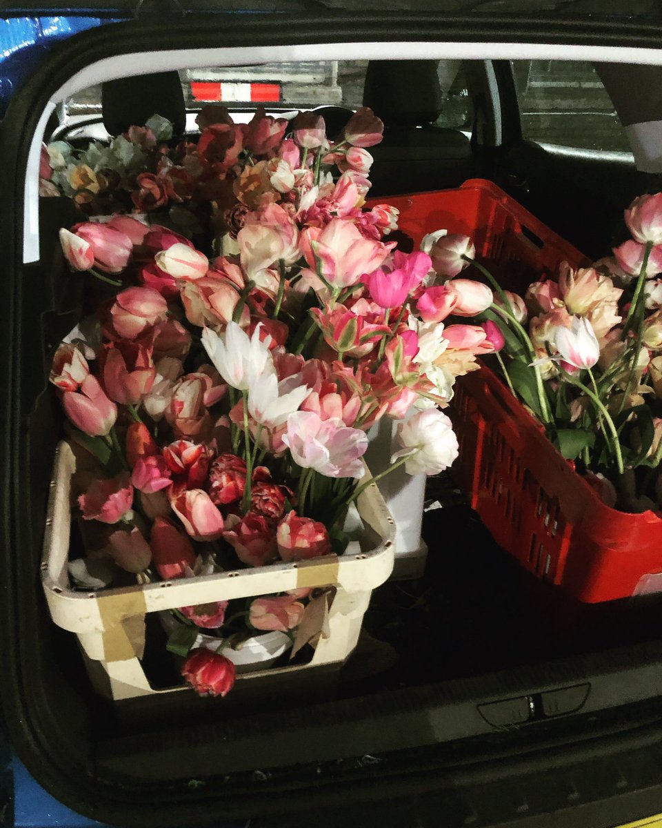 Apologies @DaisiesOxford for not thanking you sooner for your kind donation of flowers on Friday - I’ve loved using them.  Last night I collected another bootful of gorgeousness from <a href="/spring_ldn/">Spring</a> and I’ll be using them with my Age UK class this morning. Thanks