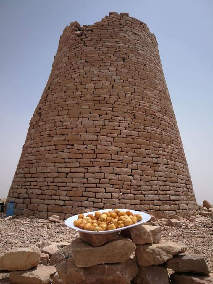AliAlmanji1's tweet photo. مجرد حُلم

رأيت فيما يرى النائم بينما كنت متكئا على أحد أبراج مدافن كبيكب في الجانب الشرقي من الجبل الأبيض التابع لولاية صور كأني متكئ على جدران أحد الأبراج الحديثة تشبه إلى حد كبير الأبراج القديمة إلا أنها مملؤة ماءً وتخرج منها أنابيب موزعة على مناطق شاسعة لزراعة أشجار الزيتون حيث أن الارتفاع الكبير يصل إلى أكثر من ألفي متر عن سطح البحر، أشجار وارفة الظلال والثمار تتدلى من كل صوب ورمقت عن بعد مبنى كبير، اقتربت منه واستئذنت بالدخول فإذن لي وطلب مني إرتداء ملابس وحذاء خاص لدخول ذلك المبنى، علمت عند ولوجي عتبة الباب الرئيس بأنها معصرة لاستخراج زيت الزيتون  واطلعت على طرق الاستخلاص المحكمة وأن العصرة الاؤلى لها قيمة عالية وعند خروجي شكرتهم على حسن الاستقبال وقدموا لي هدية من زيت الزيتون وبعض الكتيبات وبالقرب من هذه المعصرة مصنعاً صغيراً لصناعة الخشب، ولا تكاد ترى لمسافات بعيدة من كثرة الأشجار المزروعة بشكل أنيق وعلى مقربة منه محطة تستقبل أفواج من البشر، دخلت لأستكشف المكان فرأيت عربات معلقة على أسلاك يتنقلون بها من مكان مرتفع إلى آخر منخفض ليروا الجبل من الأعلى ويستمتعوا بالمناظر الخضراء، وركبت وحيداً حتى وصلت إلى المحطة الرابعة فنزلت وشاهدت البحر من شرفة جميلة ، ثم انتبهت على صوت رفقاء الرحلة وعرفت أني أحلم لا أكثر، ماذا لو قمنا بتحلية مياه البحر عن طريق الطاقة الشمسية وقمنا بإيصال المياه لهذا الجبل علماً بأن بعض أجزاءه تطل على بحر عُمان أو قمنا بتخزين مياه الأمطار لفترات طويلة. 

هل سيتحقق هذا الحلم يوماً ما، الذي قد نراه صعب المنال ولكن مع تقدم العلم ووفرة الفرص الاستثمارية المتاحة ولدينا الكثير من الفرص للنجاح أهمها قرب البحر والطاقة الشمسية  وطاقة الرياح، والهضاب والسهول التي يمكن زراعتها. عند تنفيذ مشروع بهذا الحجم سيحقق روافد أخرى مرتبطة به مثل السياحة وتحريك قطاعات الدولة المختلفة.

علي بن صالح المنجي

الموافق 23 يوليو 2018 م