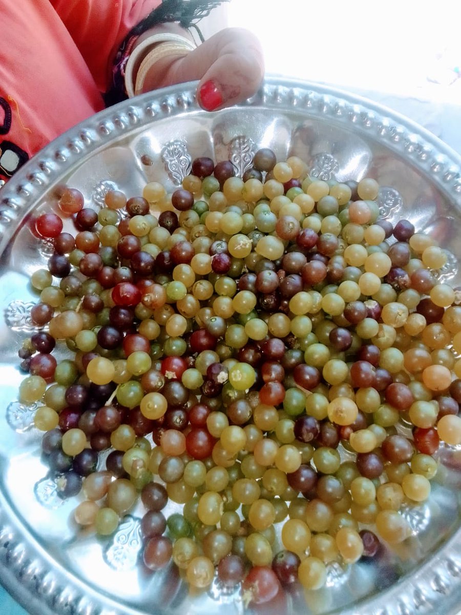 توھان ھنن کي ڇا سڏيندا آھيو ؟