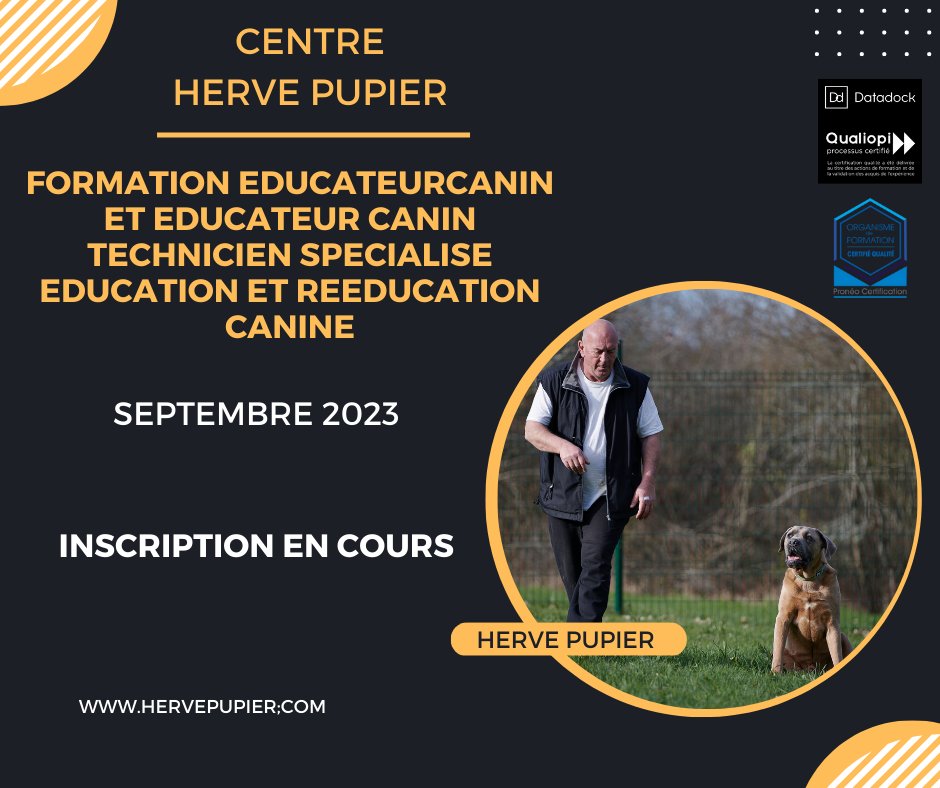 hervepupier's tweet photo. Formation éducateur et rééducateur canin du 25 Septembre au 20 Octobre 2023. 
Encore quelques places de disponibles. 
Renseignements et inscription en suivant ce lien: 
https://t.co/y9k8Ocg5NZ. Hervé Pupier https://t.co/ozYDP06P7B