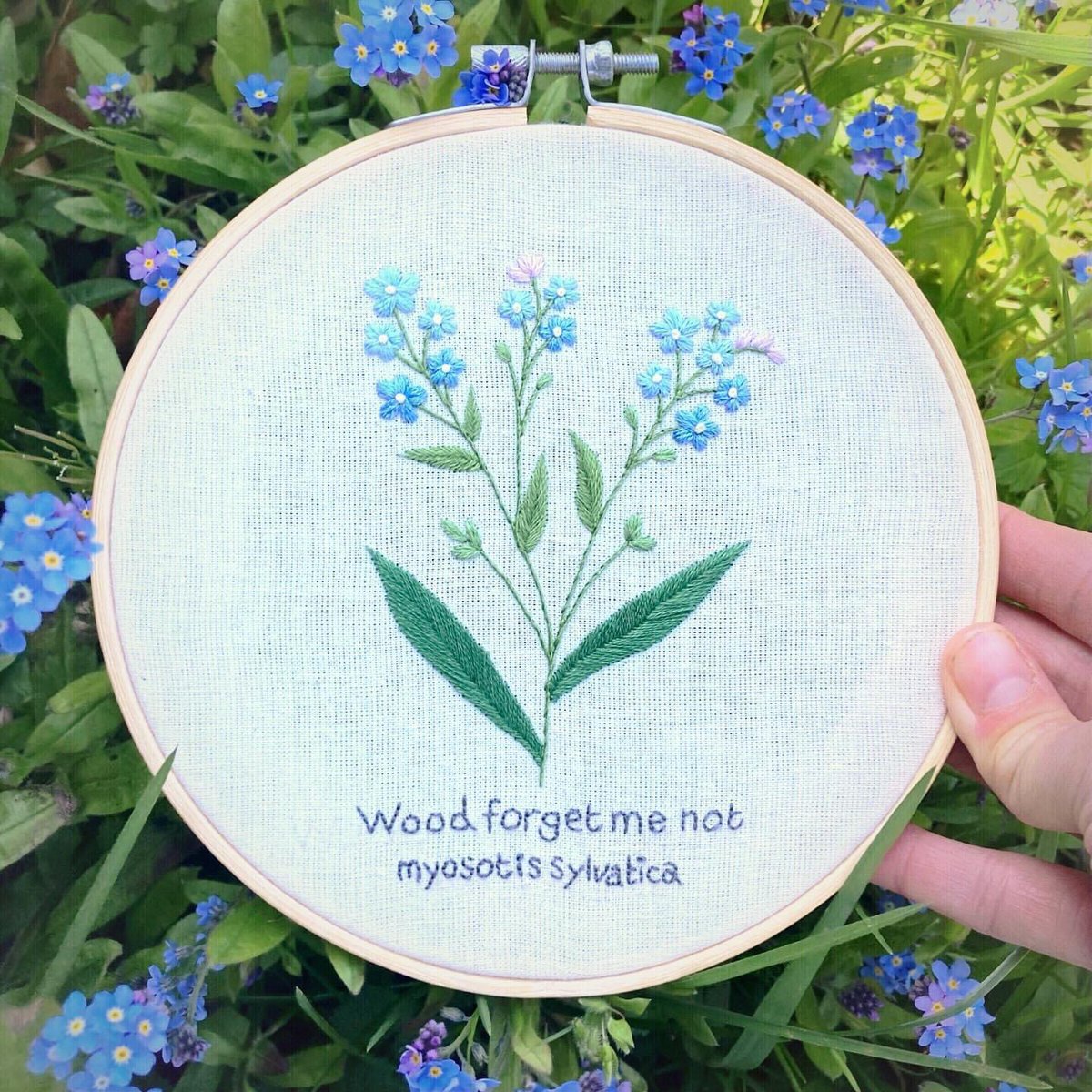 My favourite flower of the year!