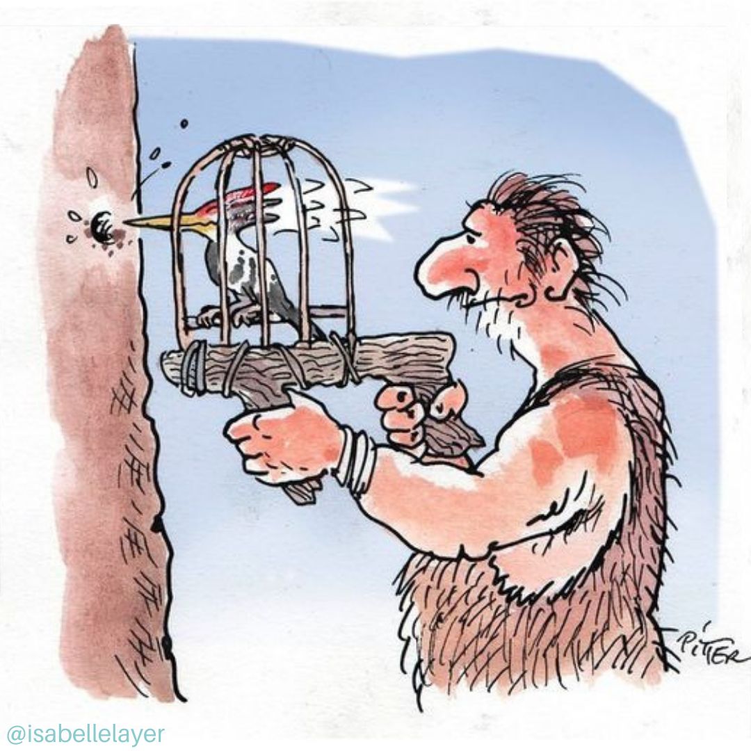 IsabelleLayer's tweet photo. Outil préhisto-pique ! 😹💡⛏🐦
.
.
.
#outils #idee #invention #foreuse #humour #humourdujour #dessindujour https://t.co/defANxZCz8