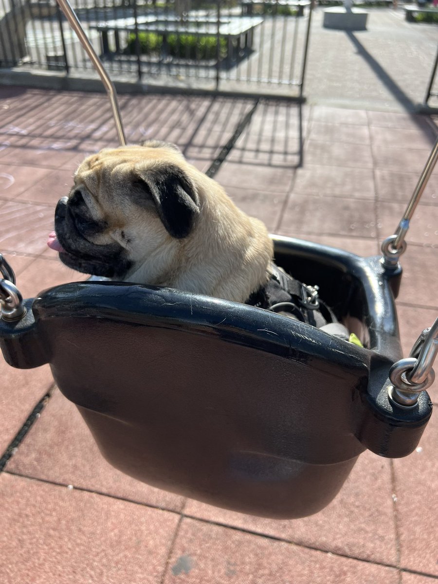 mayrushart tweet media