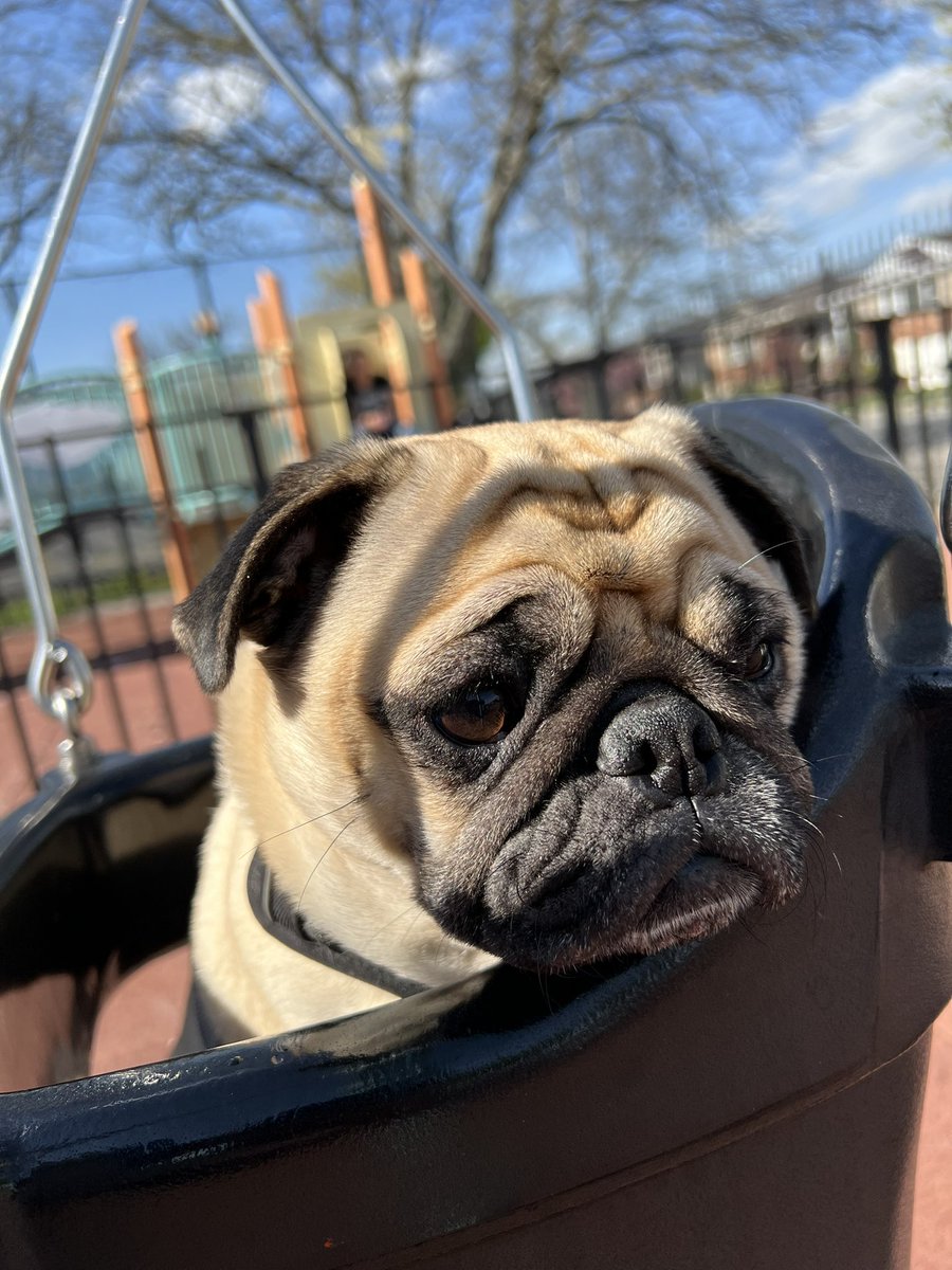 mayrushart tweet media