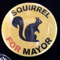 Ratatosk4's tweet photo. @TOCatMayor @HippySquirrel How bad have things become, that cats and squirrels feel compelled to unite behind a single candidate? Is the mayor a pigeon? A raccoon? A… Canada Goose?
🙀🗳️🐿 #VoteSquirrel https://t.co/KCUSXeT9DM