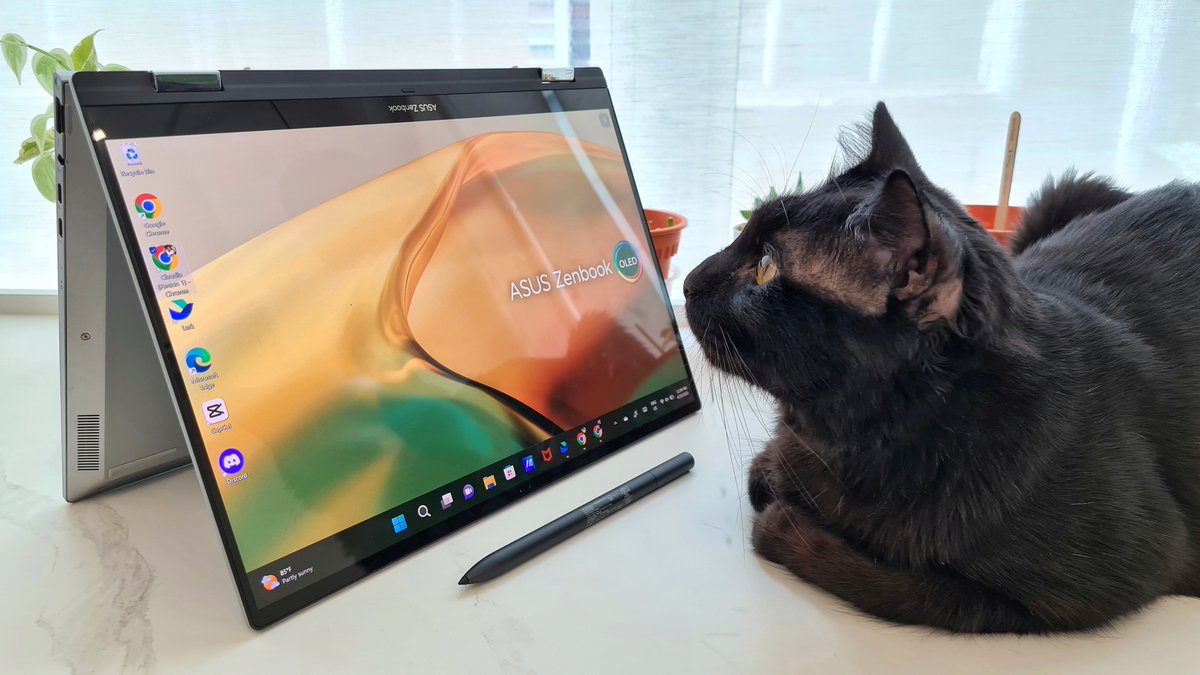 Been reviewing the ASUS Zenbook 14 Flip OLED and our office foster cat has been obsessed with it. 

Read the review of the Cocoa-approved device here: vulcanpost.com/824050/asus-ze…

BTW Cocoa walked on my keyboard as I'm typing this, here's what he had to say: i9uuuuuuuuuuiuuuuuuuuuuu
