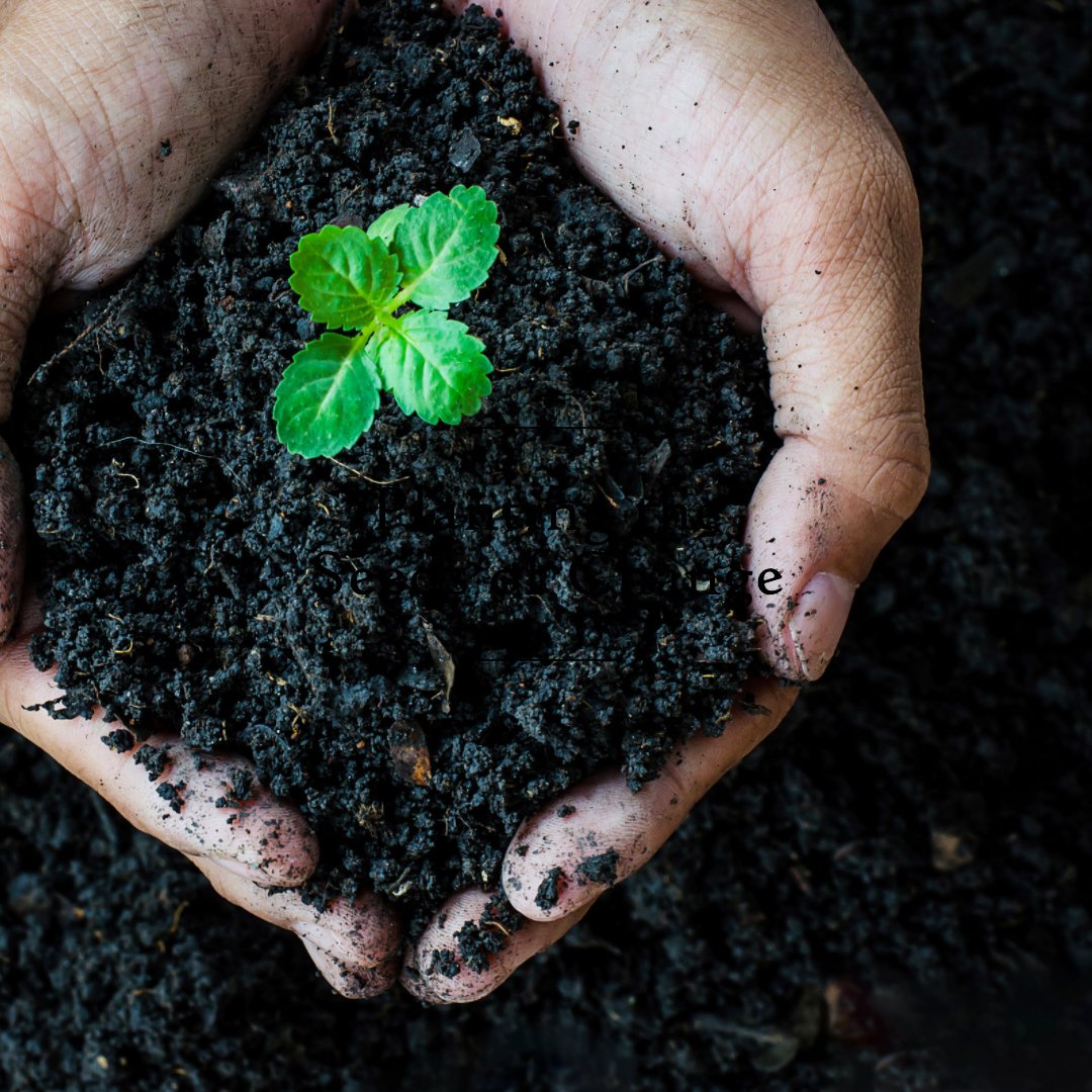 AKTC_Zambia's tweet photo. #Soils_and_Soil_nutrition
We need to protect our soils simply because: nutrient-deficient soils produce nutrient-deficient plants.... which ultimately lead to people suffering from nutrient deficiencies.

#Soils4Nutrition https://t.co/J3DDcJUMk4