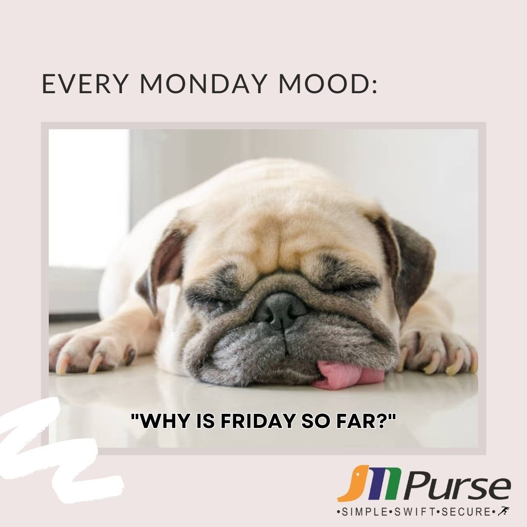 MPurse_Services's tweet photo. “Alexa, skip to Friday” 

#memes #dog #finance #digitalpayment #DigitalIndia #india #WorldMalariaDay2023 #mpursemyworld #rbi #twitter #TwitterBlueTick #FinTechNews #fintech #money #trending https://t.co/CgjZNthvYZ