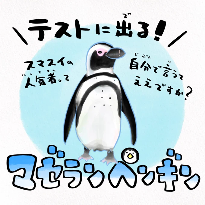 水族館でよく見るペンギンの見分け方
#世界ペンギンの日 