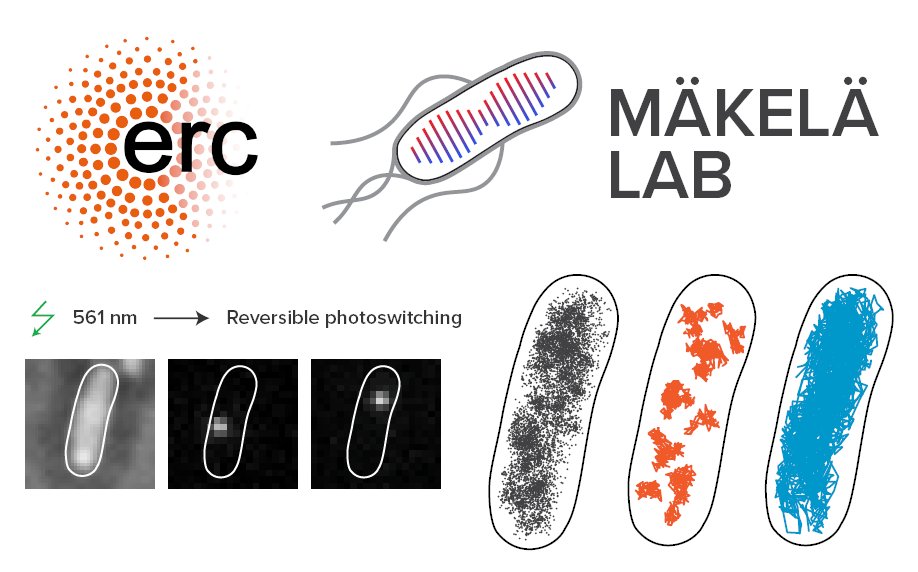 Jarno Mäkelä (@makelajarno) on Twitter photo 📢JOB ALERT! 📢
We have <a href="/ERC_Research/">European Research Council (ERC)</a> funded PhD and postdoc positions available to work on our #TEMPADAPT project. More info:
tinyurl.com/2eac8b4h
tinyurl.com/49ak2t45
Please RT. 📢JOB ALERT! 📢
We have <a href="/ERC_Research/">European Research Council (ERC)</a> funded PhD and postdoc positions available to work on our #TEMPADAPT project. More info:
tinyurl.com/2eac8b4h
tinyurl.com/49ak2t45
Please RT.