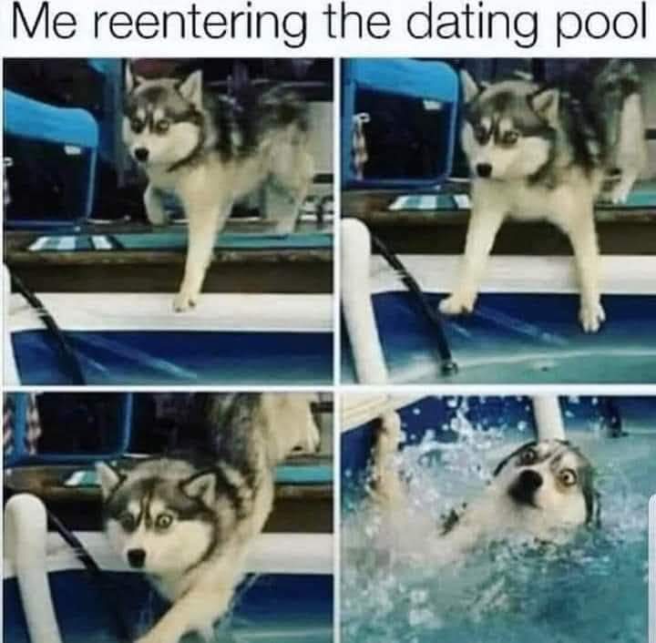 Allie_Belle1231's tweet photo. Absolutely avoiding that pool π bc I know this is my outcome lol #knowyourboundaries https://t.co/jBwp7ggseF