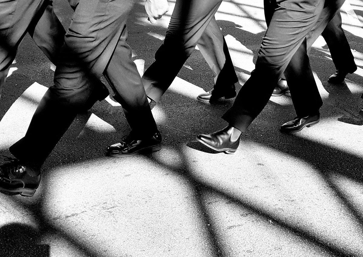 Shoana Annesley tweet media