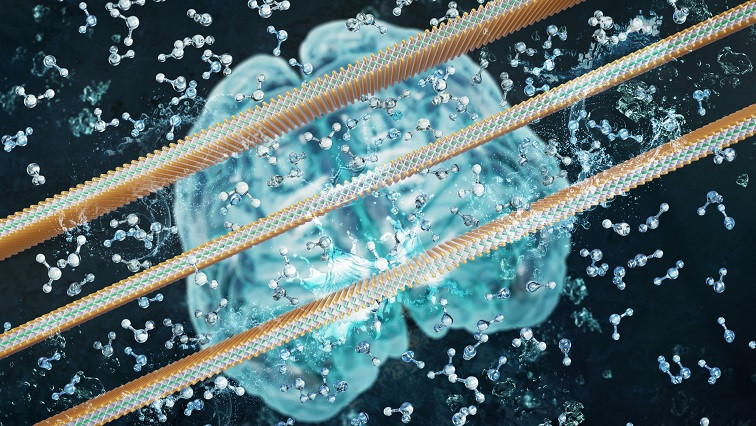 StatNano's tweet photo. Intelligent Membranes with Memories Make Next-generation Smart Filters
https://t.co/sEJgm5iMKL
#Smart_Filters #Graphene #NGI' #memory #drugdelivery #sensors #StatNano #NBIC #nanotechnology https://t.co/1q3Ng2KZvH